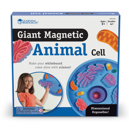 LEARNING RESOURCES Giant Magnetic Animal Cells 6039